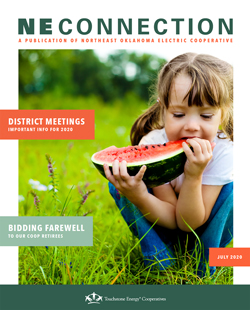 July 2020 NE Connection Cover July 2020 NE Connection Cover