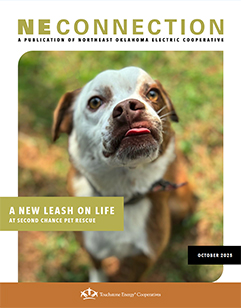 October 2025 NE Connection